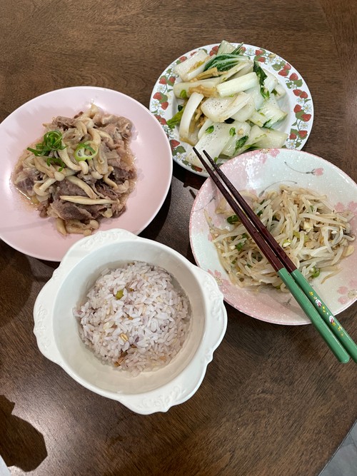 Beef Gyudon and Bok Choy